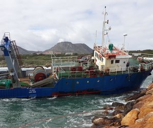 Week 34 of 2013 - Gansbaai News, Specials & Events